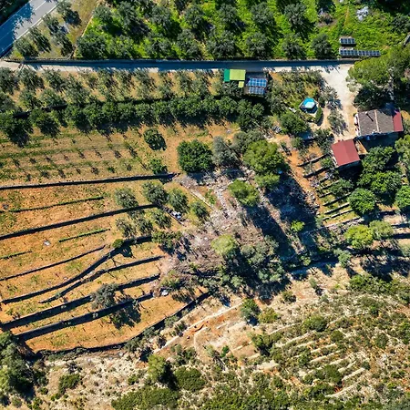 El Castellet De L'ocaive Country house *