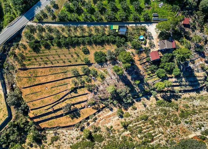 El Castellet De L'ocaive Εξοχικό σπίτι *